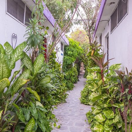 Hotel Aventura Merida Ngoại thất bức ảnh