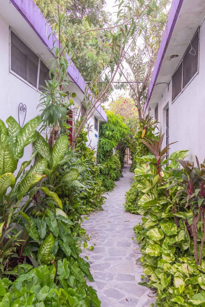 Hotel Aventura Merida Ngoại thất bức ảnh